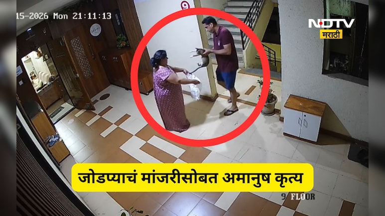 Navi Mumbai News: पहिले कुरवाळलं, नंतर उचललं, मांजराच्या पिल्लाला पिशवीत कोंबलं, जोडप्याने पुढे जे केलं ते...
