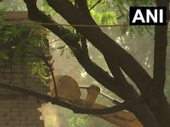 दिल्ली के यमुना बाजार में सुबह-सुबह गरजा बुलडोजर, 310 घर जमींदोज करने की तैयारी