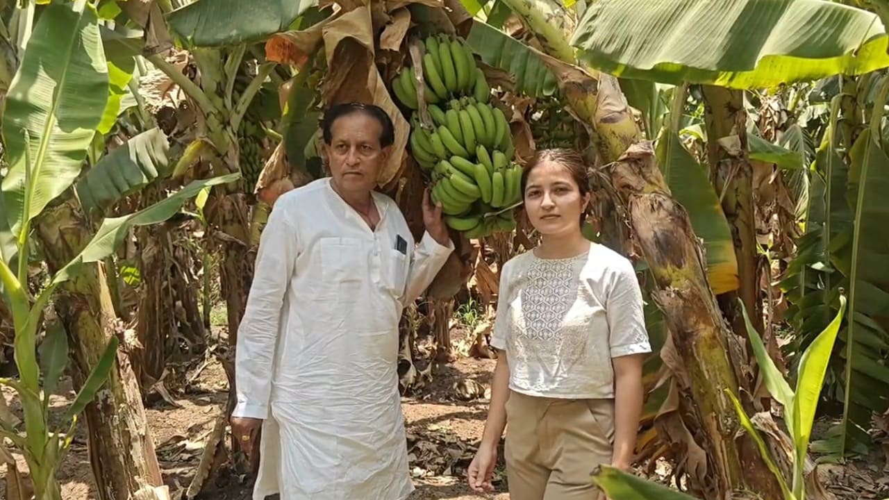 burhanpur-banana-gi-tag burhanpur-banana-gi-tag