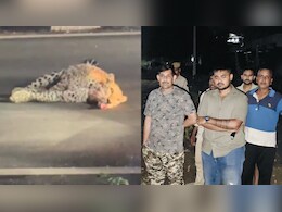रोड पर घायल पड़ा था लेपर्ड, बचाने गई वन विभाग की टीम तो अचानक कर दिया हमला