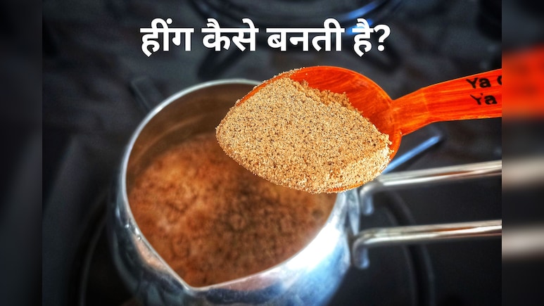 आज जान लीजिए, हींग कैसे बनती है, सुनकर हैरानी होगी...