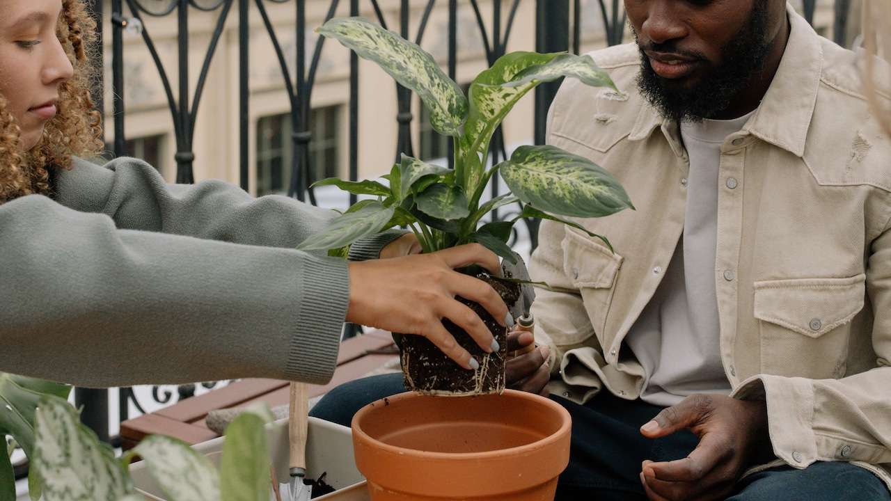 Essential balcony gardening tools every home needs for a thriving setup