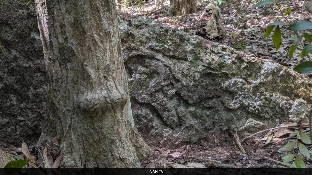 Ancient Maya City Found Untouched In Mexican Jungle After 1,000 Years