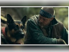 Brad Pitt's 'Heart Of The Beast' Official Trailer Unveils Plane-Crash Survival Story — Check Release Date
