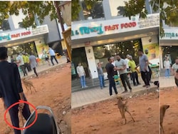 On Camera, Twisha Sharma Case Witness Attacked, Allegedly By Husband's Friends