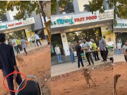 Twisha Sharma मामले में समर्थ के दोस्तों ने गवाह को बीच सड़क पर दौड़ा-दौड़ाकर पीटा, वारदात CCTV में कैद
