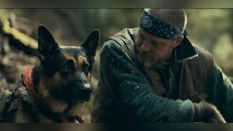 <i>Heart Of The Beast</i> Trailer: Brad Pitt Battles The Alaskan Wilderness Alongside His Loyal Service Dog