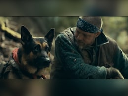 <i>Heart Of The Beast</i> Trailer: Brad Pitt Battles The Alaskan Wilderness Alongside His Loyal Service Dog