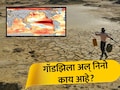 What is Godzilla El Nino : गॉडझिला अल् निनो काय आहे? भारताच्या दिशेने वाटचाल, शेतीपासून पॉवरग्रीडपर्यंत सर्व उद्ध्वस्त होण्याचा महाधोका