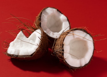 Which State Is Known As The Coconut Capital Of India?