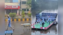 Messi Mania Peaks: Argentina Fans Across South Asia Go Viral During the 2026 World Cup