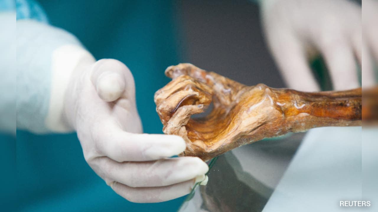 Scientists Bake Sourdough Bread From Yeast Found On 5000-Year-Old Mummy
