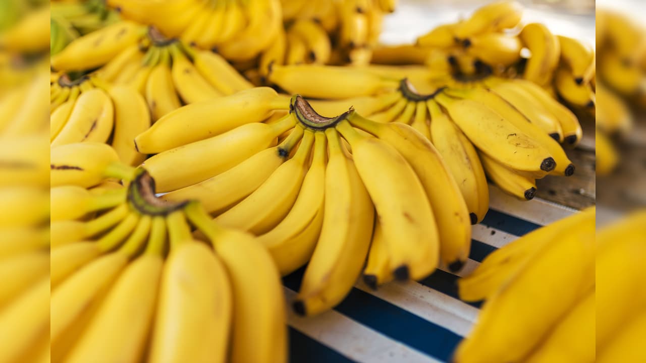 केलों का शहर- किस जगह को कहा जाता है Banana capital of India