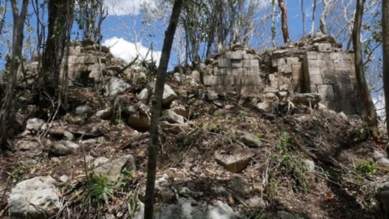 Ancient Maya City Discovered Deep In Mexico's Calakmul Reserve, Named 'Minanbe'