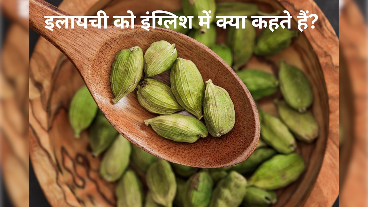 स्‍वाद और खुशबू से भरी मसालों की रानी- हरी इलायची को इंग्लिश में क्‍या कहते हैं?