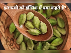 स्‍वाद और खुशबू से भरी मसालों की रानी- हरी इलायची को इंग्लिश में क्‍या कहते हैं?