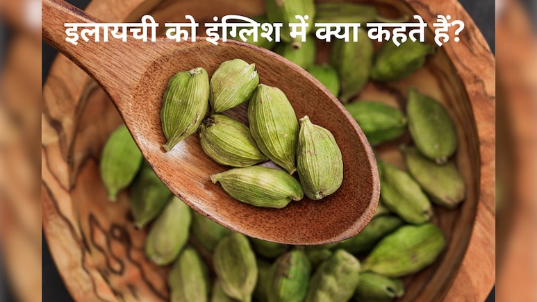 स्&zwj;वाद और खुशबू से भरी मसालों की रानी- हरी इलायची को इंग्लिश में क्&zwj;या कहते हैं?