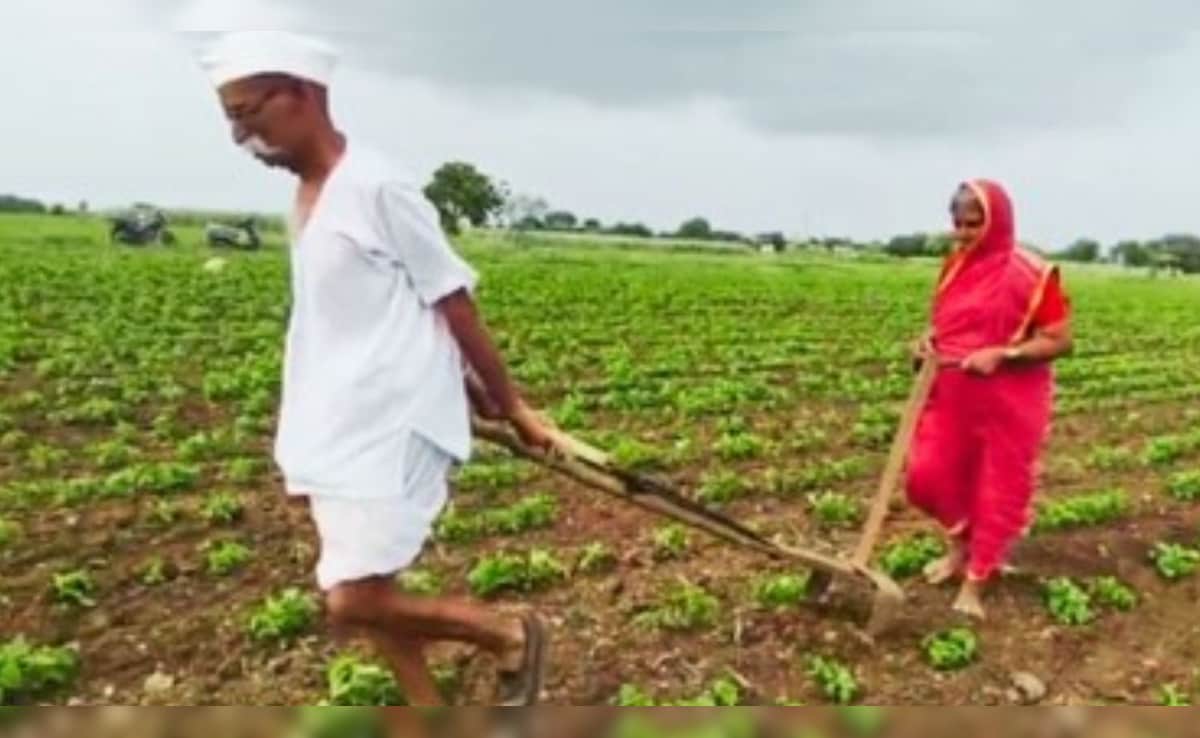 खेती के दौरान हादसा होने पर सरकार देगी आर्थिक मदद, ई-मित्र पर करना होना रजिस्ट्रेशन, जानिए पूरा प्रोसेस