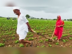 खेती के दौरान हादसा होने पर सरकार देगी आर्थिक मदद, ई-मित्र पर करना होना रजिस्ट्रेशन, जानिए पूरा प्रोसेस