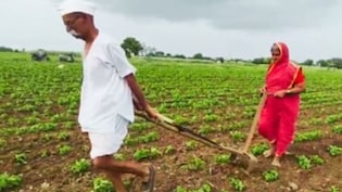 खेती के दौरान हादसा होने पर सरकार देगी आर्थिक मदद, ई-मित्र पर करना होना रजिस्ट्रेशन, जानिए पूरा प्रोसेस