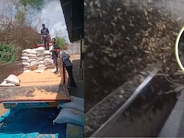 सागर में गेहूं खरीदी घोटाला: 600 बोरियों में गेहूं की जगह मिली मिट्टी