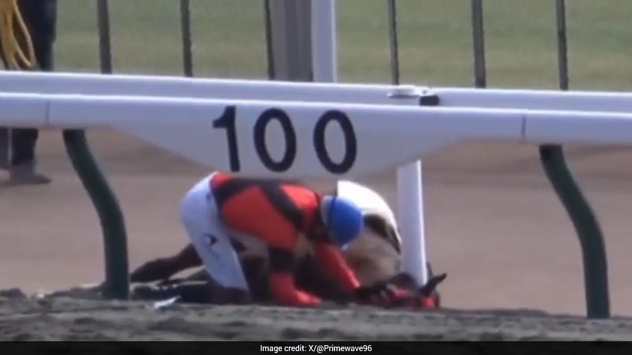 Jockey Refuses To Leave Collapsed Horse, Viral Video Sparks Mixed Reactions