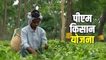 20 जून को जारी होगी पीएम किसान योजना की 23वीं किस्त, घर बैठे Beneficiary List में ऐसे चेक करें नाम