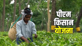 20 जून को जारी होगी पीएम किसान योजना की 23वीं किस्त, घर बैठे Beneficiary List में ऐसे चेक करें नाम