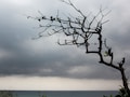 Monsoon Update: काय आहे सोमाली जेट ज्याच्यामुळे महाराष्ट्रात मान्सून रखडला? वाचा सविस्तर रिपोर्ट