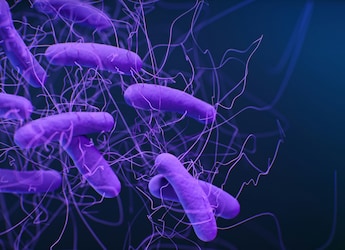 Two Wayanad Students Test Positive For Shigella; 337 Others Under Treatment, Minister Promises Swift Action