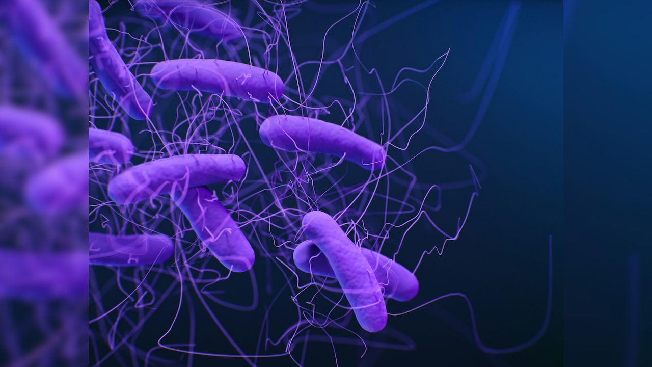Four-Year-Old Dies Of Shigella Infection In Kerala; Government Steps Up Surveillance
