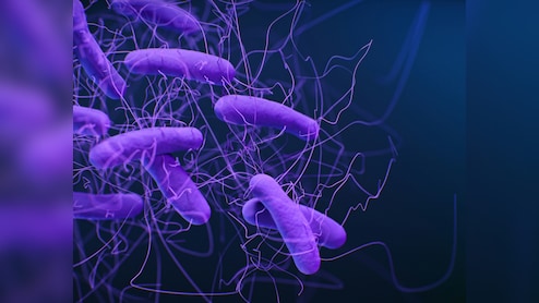 Four-Year-Old Dies Of Shigella Infection In Kerala; Government Steps Up Surveillance