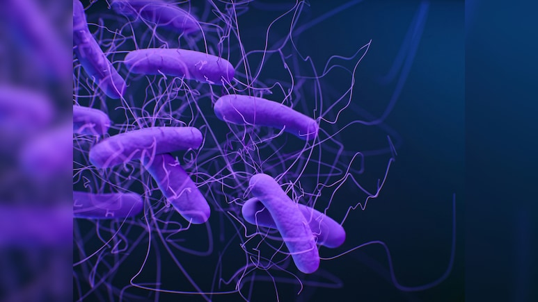 Four-Year-Old Dies Of Shigella Infection In Kerala; Government Steps Up Surveillance