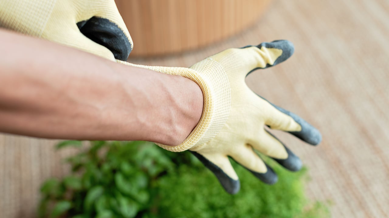Use gardening gloves