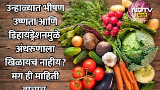 Hydrating Vegetables: उन्हाळ्यात खा या 6 भाज्या, पोटाचे विकार-डिहायड्रेशन एका झटक्यात होईल दूर; शरीर होईल थंड