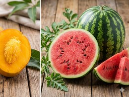 Mango Vs Watermelon: Nutritionist Reveals Which Fruit Wins