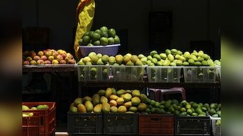 India Exports 4.3 Tons Of Banganappalli Mangoes To Singapore Via Cost-Effective Sea Route