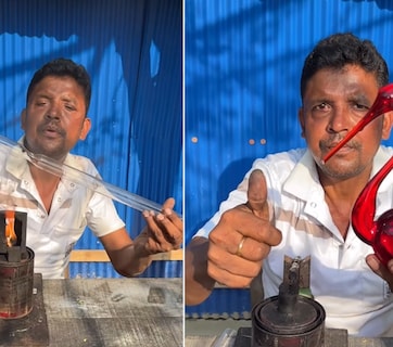 कबाड़ की ट्यूब लाइट से बना डाला खूबसूरत पक्षी, कलाकार की क्रिएटिविटी हुई वायरल
