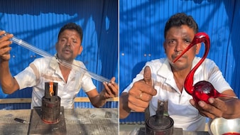 कबाड़ की ट्यूब लाइट से बना डाला खूबसूरत पक्षी, कलाकार की क्रिएटिविटी हुई वायरल