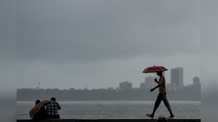 Will It Rain In Mumbai, Thane And Palghar Today? Check IMD's Forecast For Maharashtra For Next Four Days