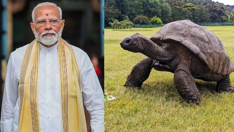194 साल की उम्र, सेशेल्स दौरे पर दुनिया के सबसे बुजुर्ग जीव जोनाथन से मिलेंगे PM मोदी