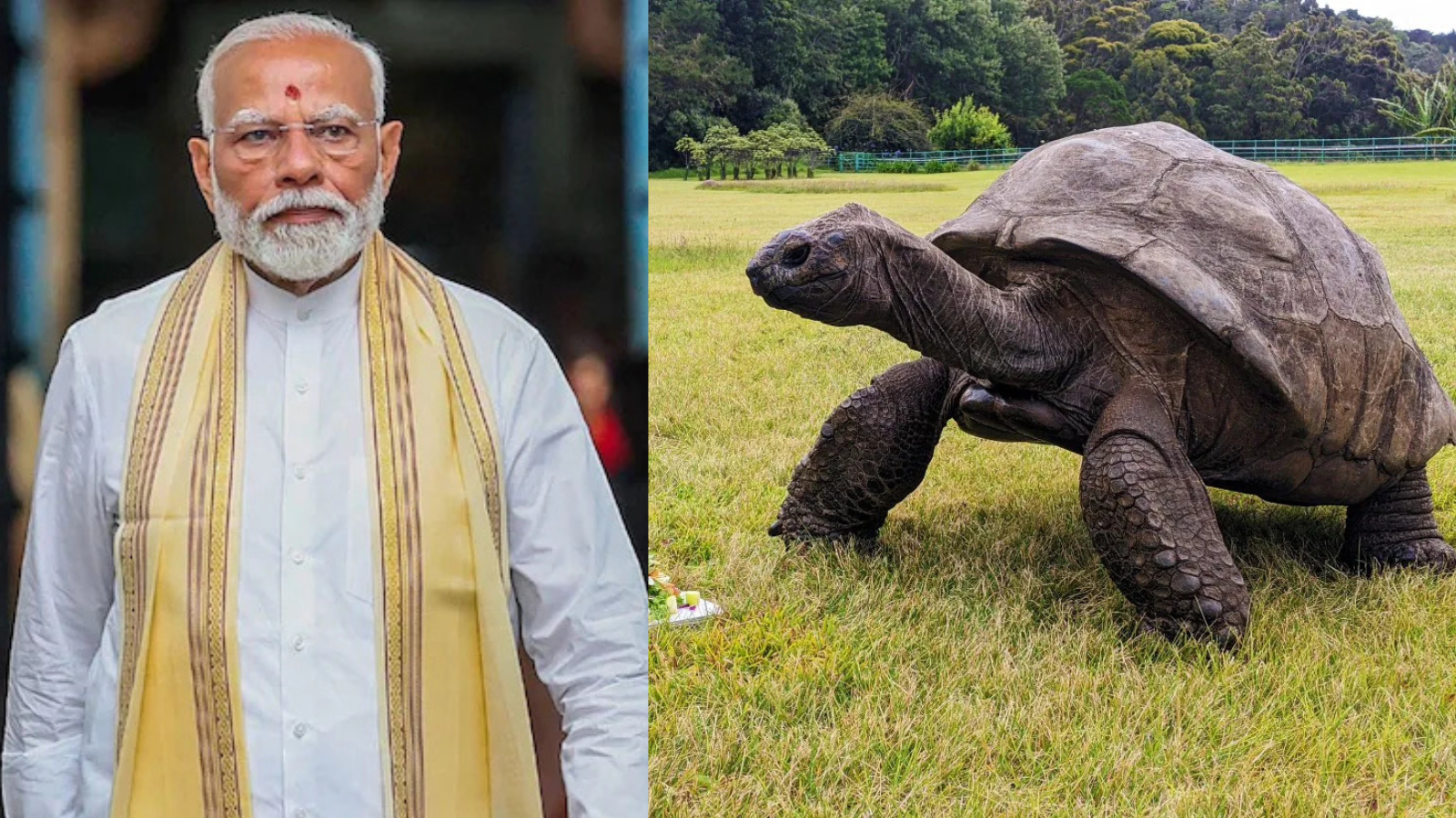 PM Modi To Meet World's Oldest Living Land Animal During Seychelles Visit