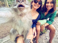 5 Of Samantha Ruth Prabhu's Favourite Travel Destinations