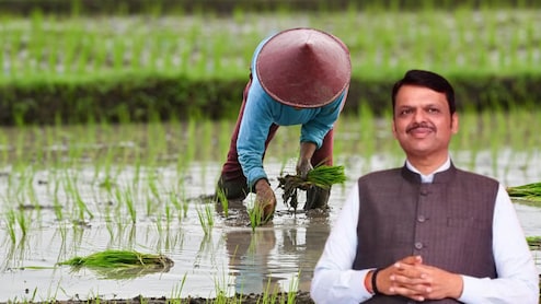 महाराष्ट्र: अन्नदाताओं को बड़ी राहत, दो लाख तक की कर्जमाफी को मंजूरी; 56 लाख किसानों को मिलेगा फायदा