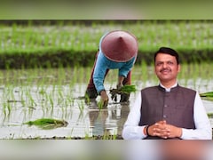 महाराष्ट्र: अन्नदाताओं को बड़ी राहत, दो लाख तक की कर्जमाफी को मंजूरी; 56 लाख किसानों को मिलेगा फायदा