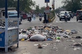 जयपुर में पॉश इलाकों से लेकर रेलवे स्टेशन तक पसरी गंदगी, सफाई कर्मचारियों की हड़ताल से बिगड़े हालात