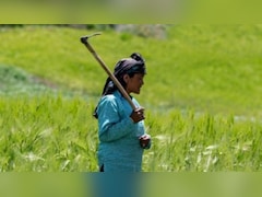 PMFBY: बंगाल में प्रधानमंत्री फसल बीमा योजना की शुरुआत, जानिए किसानों के लिए ये क्यों है जरूरी, कैसे करें आवेदन