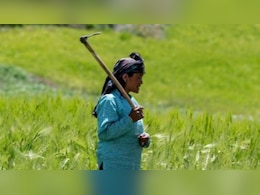 PMFBY: बंगाल में प्रधानमंत्री फसल बीमा योजना की शुरुआत, जानिए किसानों के लिए ये क्यों है जरूरी, कैसे करें आवेदन