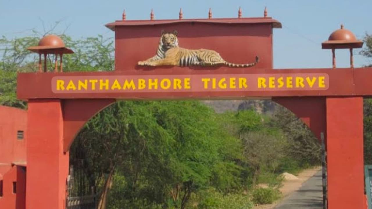  रणथंभौर टाईगर रिजर्व