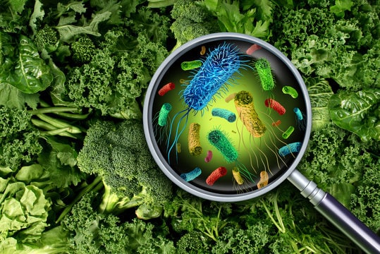 Contaminated food causes around 600 million illnesses and 420,000 deaths globally every year.. Contaminated food causes around 600 million illnesses and 420,000 deaths globally every year..